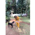 Divya Seth Shah Instagram - Thank you Maple 🍁 For sending So Many more to fill the Space You left … They’re naughtier than You But they will learn to Love like You Hope there are cucumbers wherever You are 🥹 . . . #dog #dogoftheday #dogsofinstagram #doglover #indie #indiedog #loving #loyal #handsome #guarddog #best #myboys