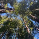 Dolly Alderton Instagram – It’s called “being in the flow of life”, look it up.