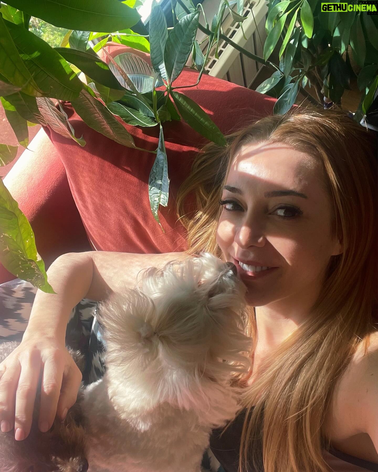 Dolunay Soysert Instagram - Son iki haftadan karmakarışık bir toplama oldu. Aman olsun artık ne yapalım, bu da böyle kafası karışık ama bol tebessümlüsünden olsun