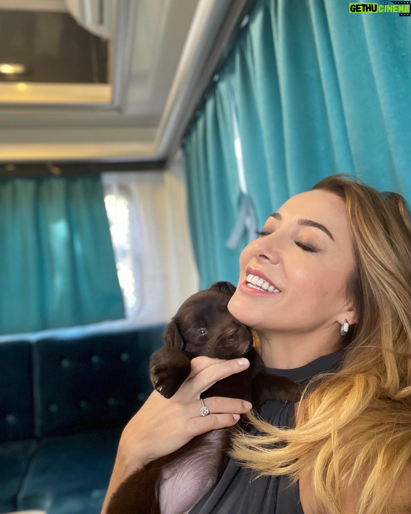 Dolunay Soysert Instagram - Aklımın yitme noktası 🍫 #lifewithçukulata #petlove #ömürnasıluzar
