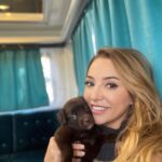 Dolunay Soysert Instagram - Aklımın yitme noktası 🍫 #lifewithçukulata #petlove #ömürnasıluzar