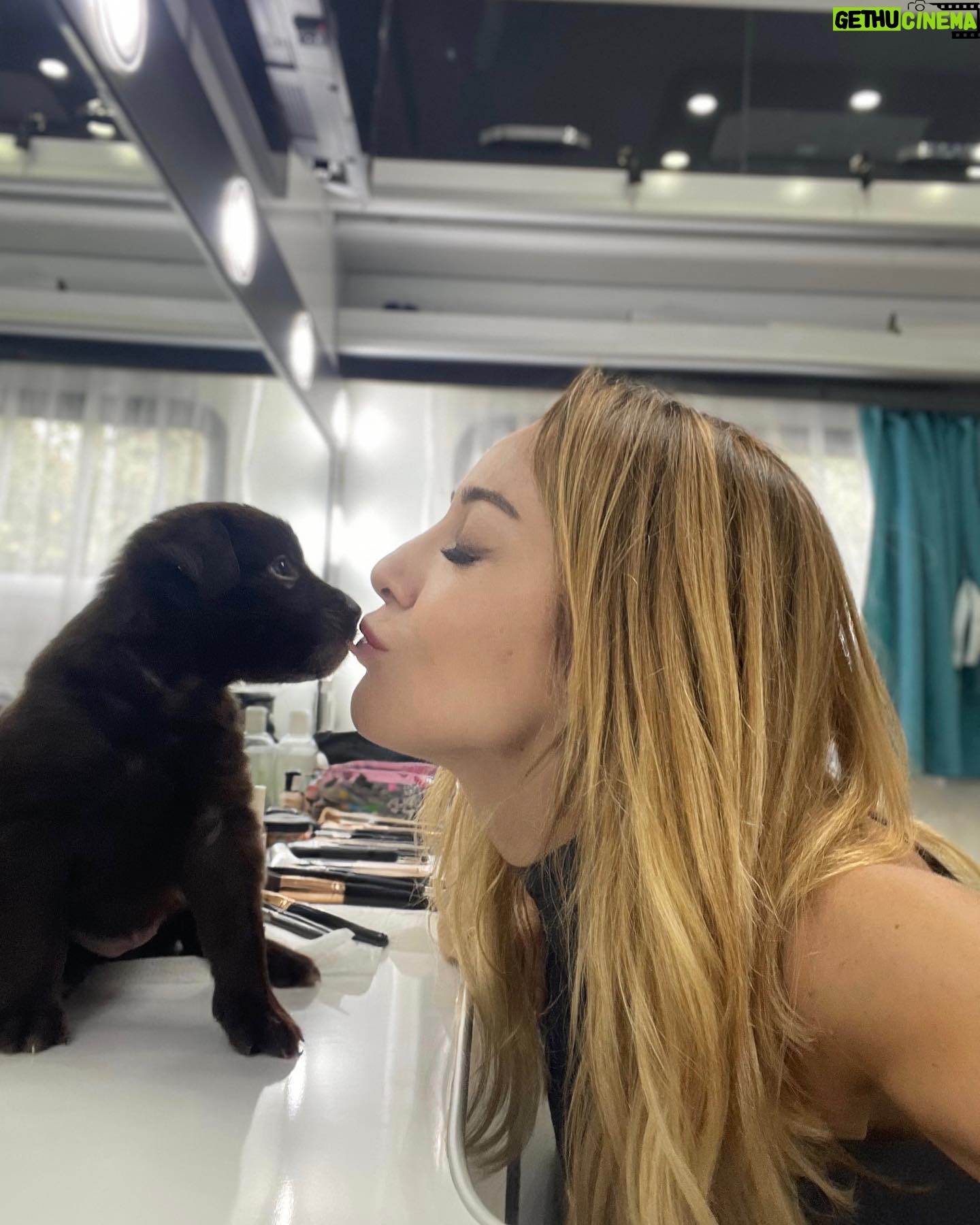 Dolunay Soysert Instagram - Aklımın yitme noktası 🍫 #lifewithçukulata #petlove #ömürnasıluzar