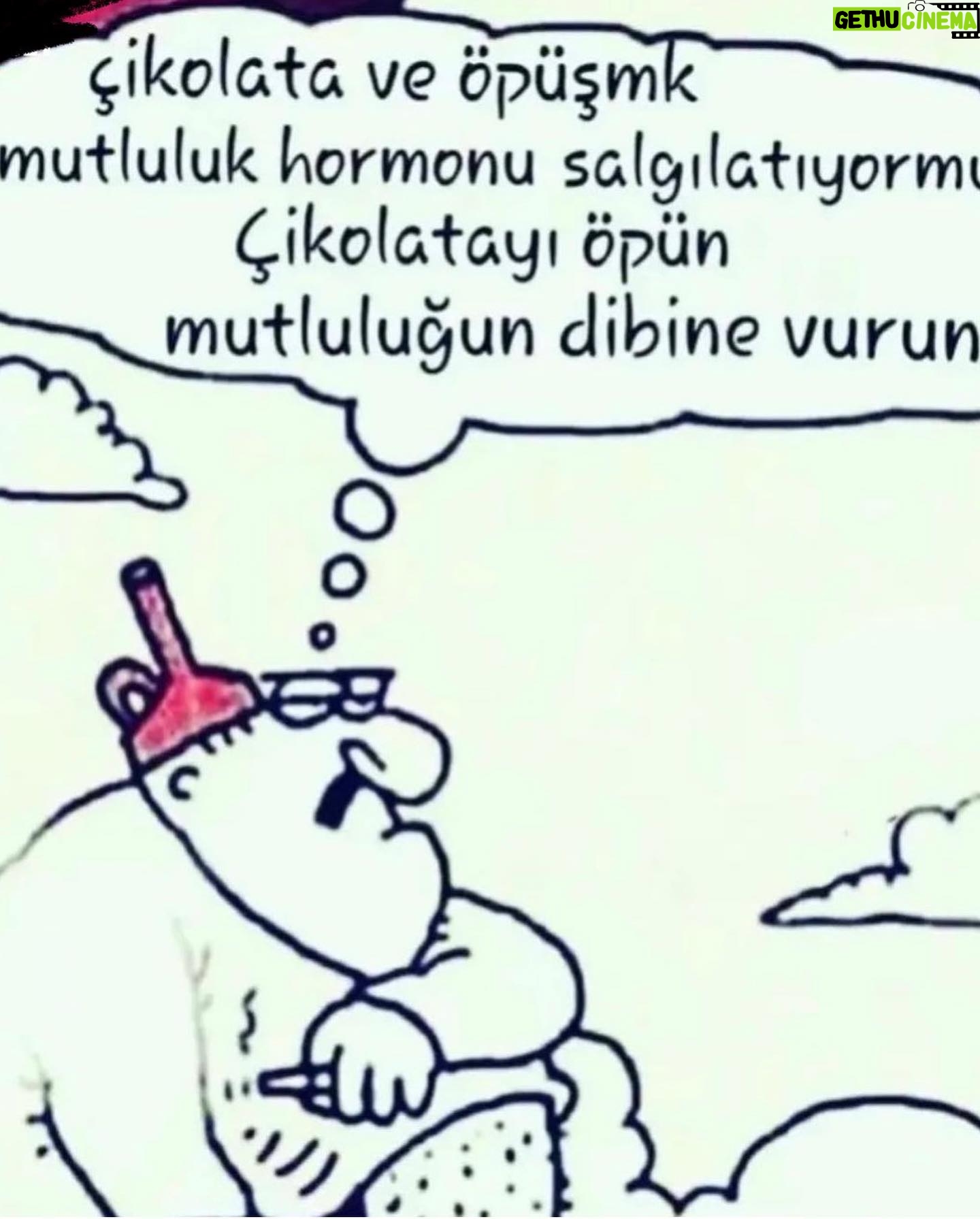 Dolunay Soysert Instagram - Aklımın yitme noktası 🍫 #lifewithçukulata #petlove #ömürnasıluzar