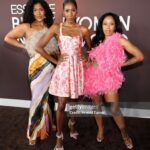 Dominique Perry Instagram - I always wanted to be at this amazing event but said I'll just wait my turn until I'm actually invited. Gods timing is impeccable! "Diarra from Detroit" at the Essence women of Hollywood brunch. 💕 Dress: @nicholelynel Hair: @hairbylex Makeup: ME