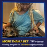 Donshea Hopkins Instagram - I'm joining the #MoreThanAPet campaign by sharing what my pet turtles Parker and Skipper mean to me 🐢 For every photo shared, a bowl of food gets donated to a pet in need. Join me and the #HumaneSociety and add your photo! 🤍 Link in bio to support