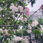 Dora Hsieh Instagram - 因為工作的關係又把髮色染回了接近原生髮的黑 但 @made_toyota_puis 依然幫我加了一點冷調，是時髦的黑 難怪最近都被說有點像女巫，我要學會魔法了嗎🪄 全身： @no.11official