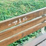 Dora Hsieh Instagram - 懶人日記： - - - - - 算了懶得寫（開玩笑ㄉ） 明顯感受到夏日的來臨 穿的舒服是很重要的！！ 這褲子我給100分 有夠舒服！ 最近很喜歡花 就突然發現衣服上不是圖騰，是小花🥰 背心、褲： @queenshoplife #qsootd #QS總監指定款 #qs旅拍企劃