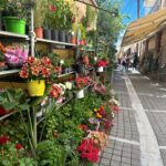 Doretta Papadimitriou Instagram - Κρήτη ,Αίγινα και νιο μορφονιά με μορφονιό σφίγγει η θάλασσα τον ουρανό. Αλλά να πάμε σίγουρα κ μια Κέρκυρα🌊