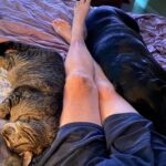 Dot-Marie Jones Instagram - The sweetest babies ever!!! Doolin (cat) and Fancy (pup) and sometimes they let me get up.