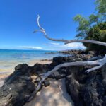 Dot-Marie Jones Instagram - Nap on the beach! I never wanna leave here!! Thank you Hawaii for a slice of heaven, thank you may We have another. @bridgettcjones #MAUI 🤙🏻❤️🐢🌺🌸 🏝 🌊