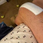 Dot-Marie Jones Instagram - I haven’t post anything about my knee replacement. I know my girl @bridgettcjones had but wanted to as well. My knee was a mess and this was the 8th surgery on my left one. I think I got my miles out of it. 9-12-23 was surgery! Have had some very bad days but slowly getting better! Thank you @bridgettcjones for being an amazing nurse and taking good care of me . I love you forever and always. I made that fancy cup and stuff holder for my Walker!!! Jealous 😉love y’all! I’ll keep y’all up to date! Today is day 8. Ya don’t count the day ya had the surgery cause ya don’t!!!