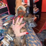 Drea de Matteo Instagram - THANK YOU @breadmonster_inc for my Christmas Carepackage of #unfuckwithable #gangstergoddess #GGB #beadedbracelets 🙏🏽🙏🏽🙏🏽 Everyone is always asking where they can buy em so nowwwww ya know! @breadmonster_inc