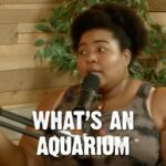 Dulcé Sloan Instagram – Is it just a wet museum. The hilarious @dulcesloan helps us and @danielvankirk figure it out on @dumbpeopletown Listen to the full episode where ever you get podcasts or watch it on YouTube.
