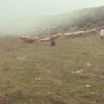 Duygu Yetiş Instagram – 🌱🌱🌱