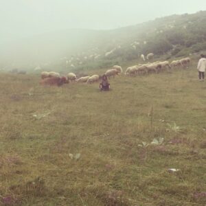 Duygu Yetiş Instagram - 🌱🌱🌱