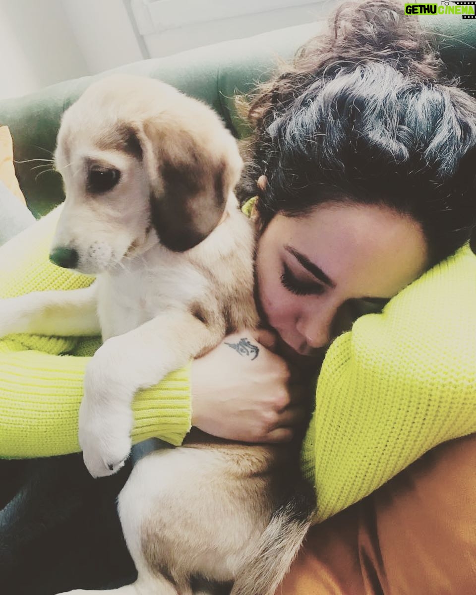 Duygu Yetiş - 8.8K Likes - Oyuncağım betty