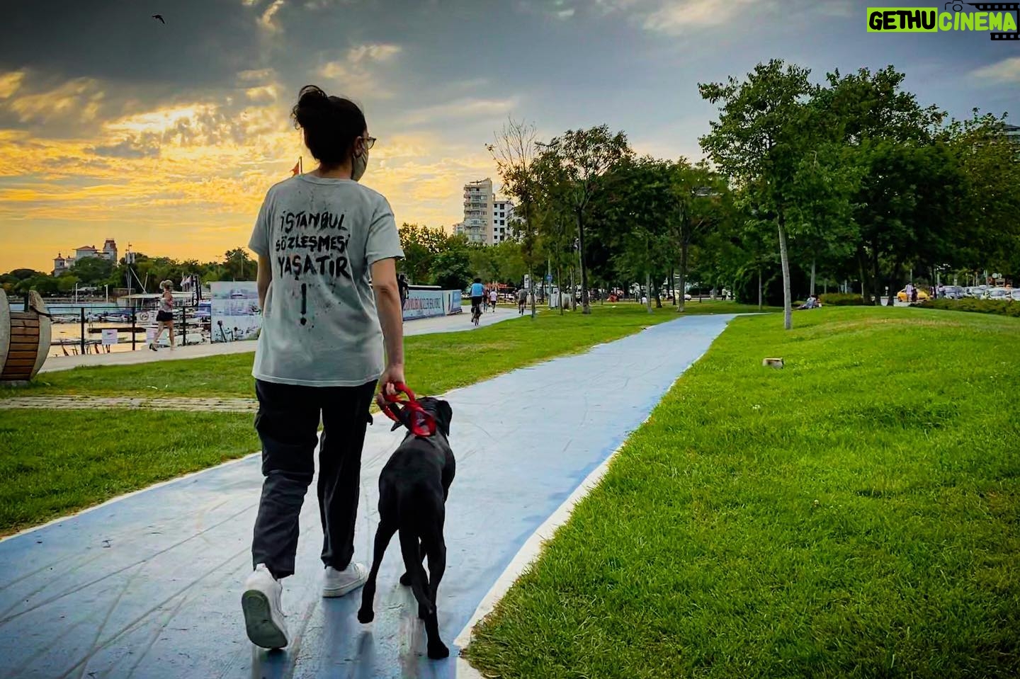 Duygu Yetiş - 19.6K Likes - Bu fotoğrafı çekmek için sokağa çıktığımda aslında niyetim #istanbulsözleşmesiyaşatır demek ve haklarımıza dikkat çekmekti.
.
Dedim ki madem her gün Abi’nin ihtiyaçlarını gidermek için sokağa çıkıyorum, ben de bunu giyip gezeceğim bundan sonra...
.
Fakat fotoğrafı çekip de baktıktan sonra gördüm ki, bu karedeki her bir şey teker teker katlediliyor bugün. Öldürülüyor, tecavüze uğruyor. Doğa, hayvanlar, çocuklar ve kadınlar...
.
Şimdi bakıyorum da bana zaten tek bir t-shirt yetmezmiş.
.
Evet Challenge accepted @sayınbayan senin için ve tüm kadınlar için, leyloş için , Betty için, Abi için ve tüm dünya için şimdi hep beraber haykıralım:
.
#istanbulsözleşmesiyaşatır
#kadıncinayetlerinedurde
#womensupportingwomen
#neroiçinadalet