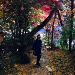 Duygu Yetiş Instagram – Renkli yollar 🍁🍂🍁