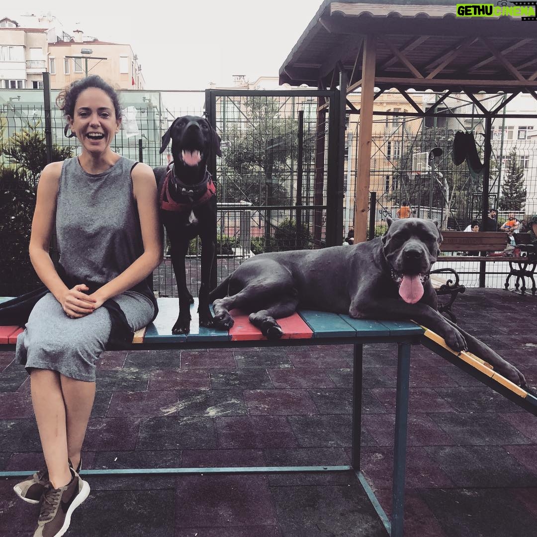 Duygu Yetiş - 13.6K Likes - Minnoşlar 😂