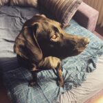 Duygu Yetiş Instagram – Bence bu dünyadaki en güzel canlı sensin kanka… Abi 🖤 Dudu