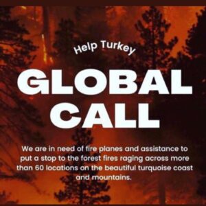 Duygu Yetiş Instagram - 🚨I am calling all the countries who can help us. We are perished and devastated with the total 112 fires. The ones that we can’t stop are still going so strong. We dont have enough fire fighting planes to stop it. We lost 8 people, so many animals and our forests.