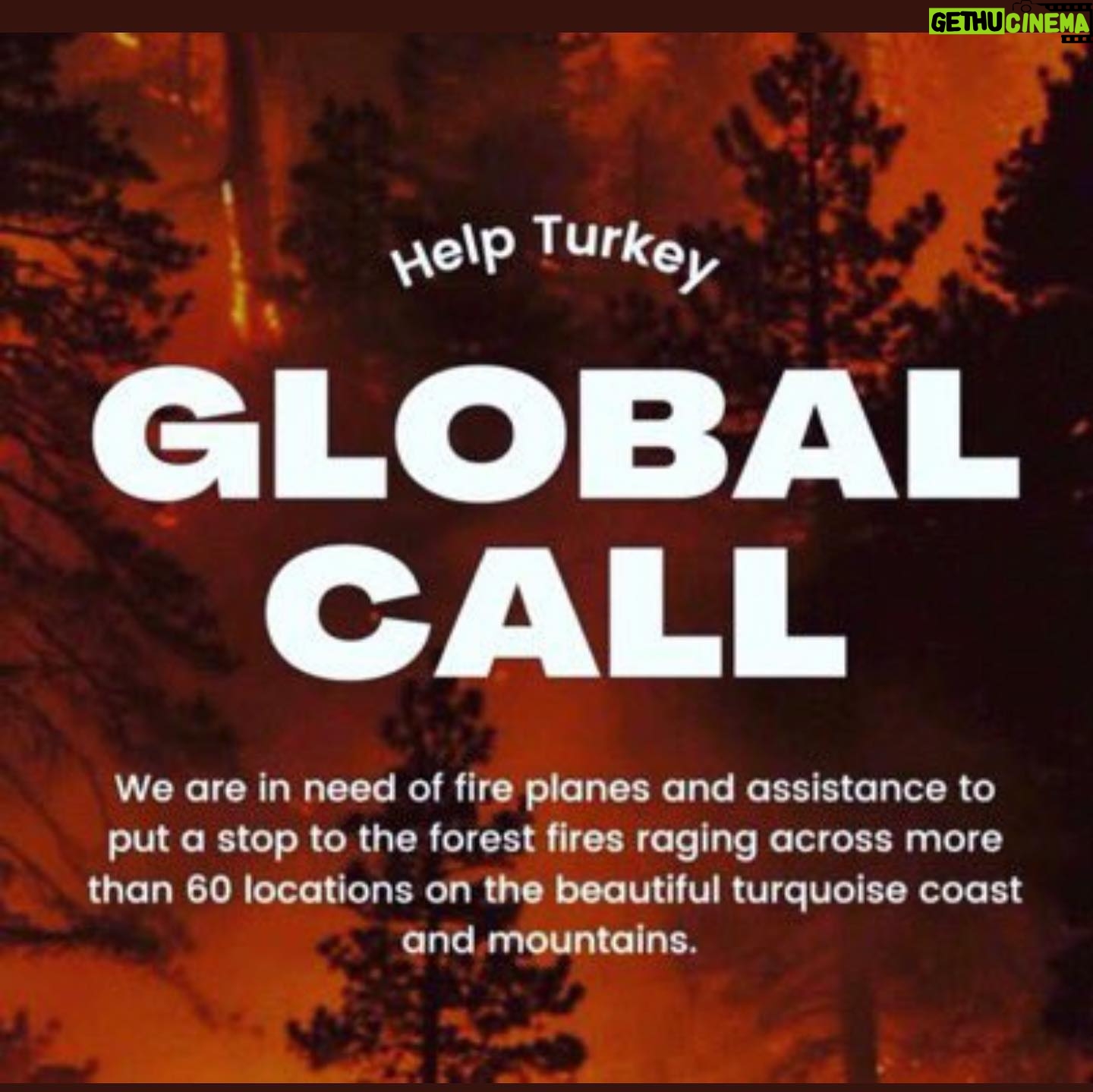 Duygu Yetiş - 9.1K Likes - 🚨I am calling all the countries who can help us. We are perished and devastated with the total 112 fires. The ones that we can’t stop are still going so strong. We dont have enough fire fighting planes to stop it. We lost 8 people, so many animals and our forests.