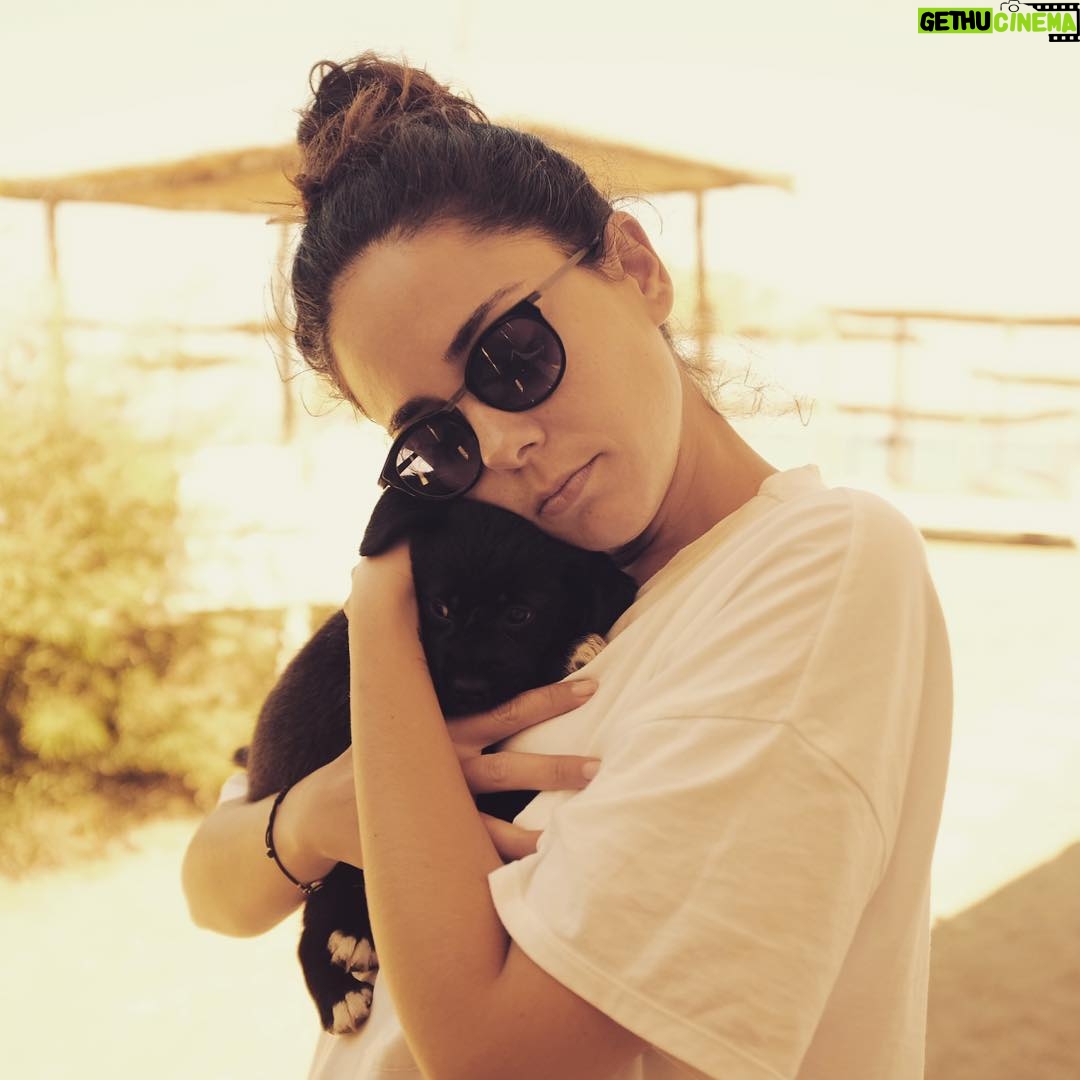 Duygu Yetiş - 8.2K Likes - Elmyra 🐶 #tbt