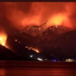 Duygu Yetiş Instagram - 🚨I am calling all the countries who can help us. We are perished and devastated with the total 112 fires. The ones that we can’t stop are still going so strong. We dont have enough fire fighting planes to stop it. We lost 8 people, so many animals and our forests.