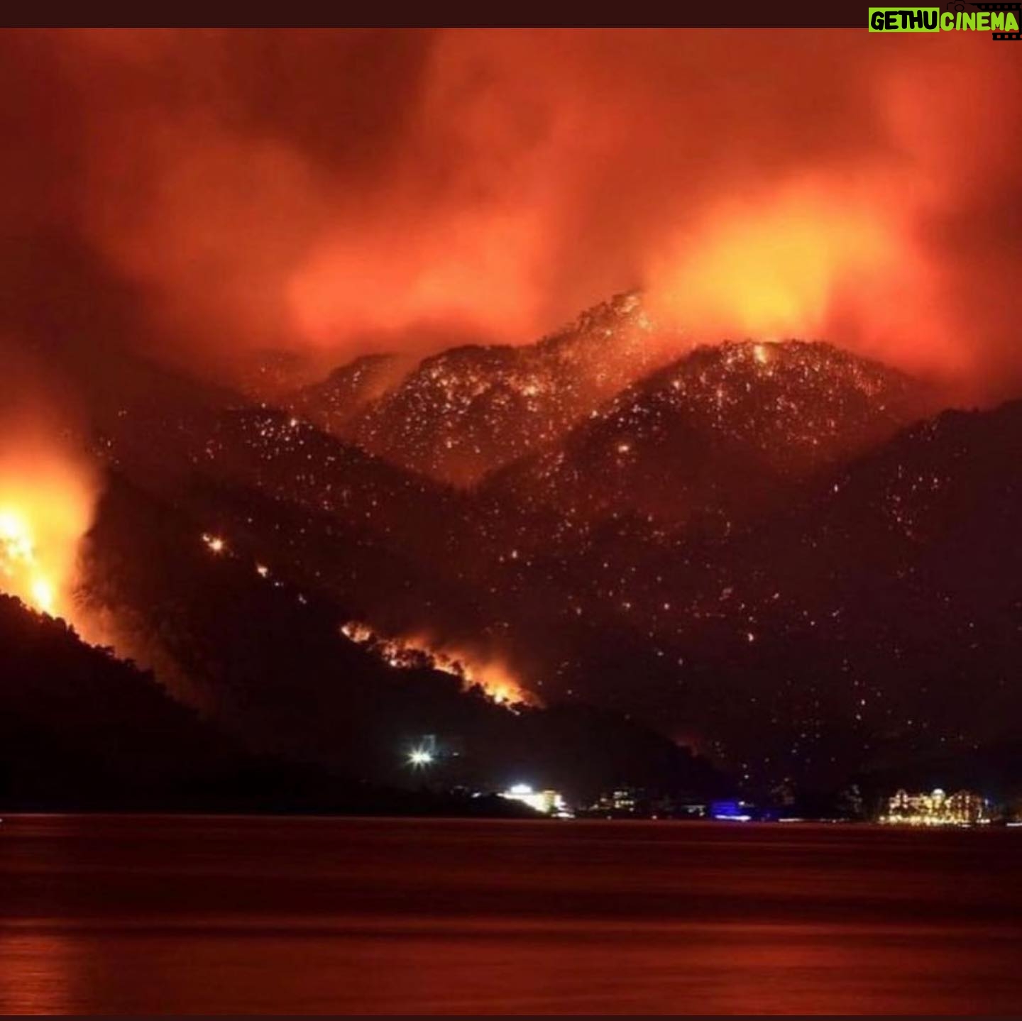 Duygu Yetiş - 9.1K Likes - 🚨I am calling all the countries who can help us. We are perished and devastated with the total 112 fires. The ones that we can’t stop are still going so strong. We dont have enough fire fighting planes to stop it. We lost 8 people, so many animals and our forests.
