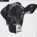 Duygu Yetiş Instagram –
