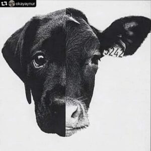 Duygu Yetiş Instagram - 