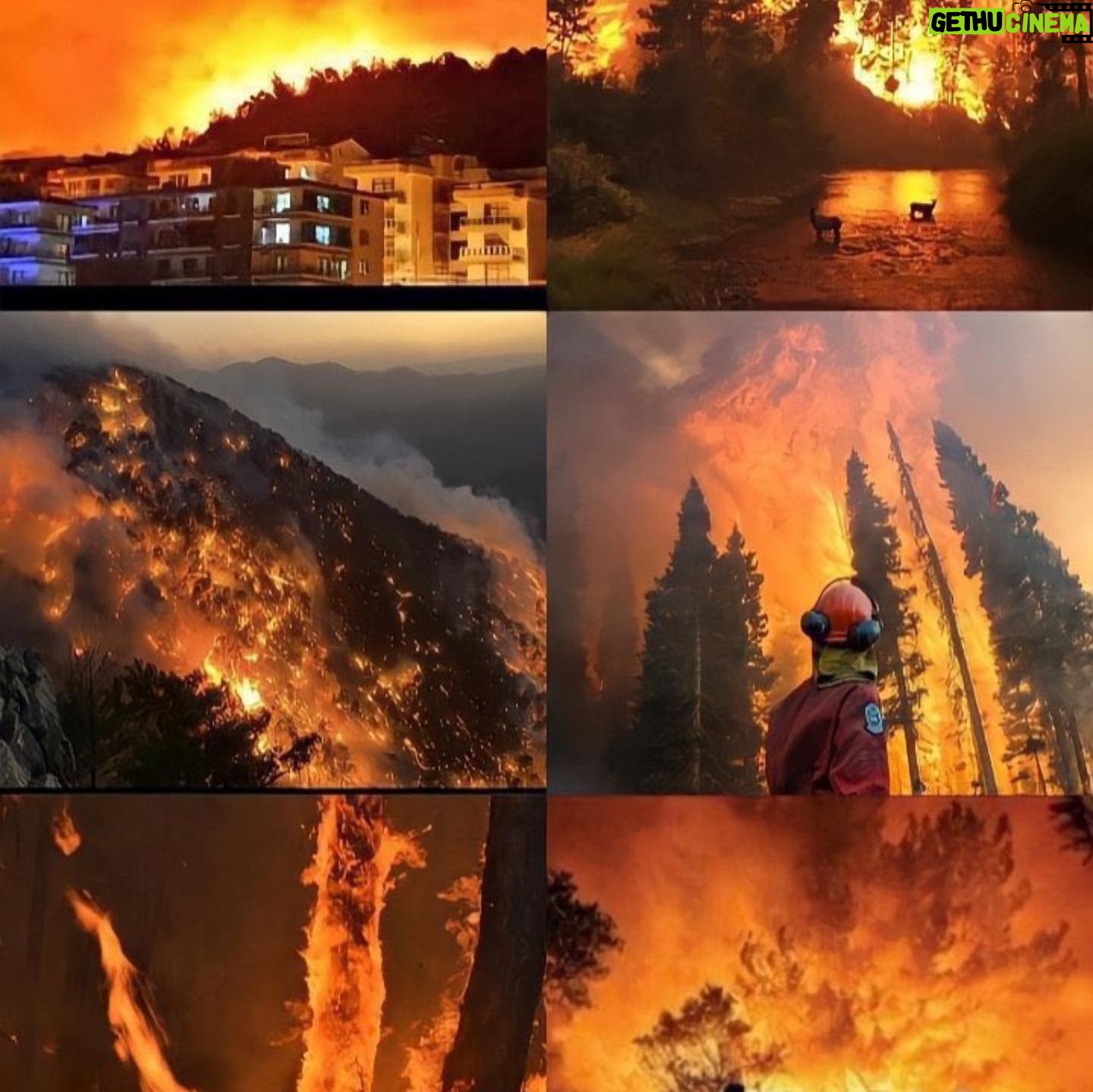 Duygu Yetiş - 9.1K Likes - 🚨I am calling all the countries who can help us. We are perished and devastated with the total 112 fires. The ones that we can’t stop are still going so strong. We dont have enough fire fighting planes to stop it. We lost 8 people, so many animals and our forests.