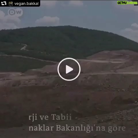 Duygu Yetiş Instagram - #repost @vegan.bakkal ・・・ Doğayı katledip beton binalar dikip asfalt yollar döşedik. Koca koca şehirler kurduk. Yetmedi! Nükleer santraller, hesler, maden ocakları kurarak yıkımlar yarattık. Yine yetmedi! Ormanları, dağları, kurtları, kuşları, inekleri, buzağıları rahat bırakın artık! Ve Doğa er ya da geç intikamını alır, unutmayın! #kazdağlarıhepimizin #altındaölümvar #veganol #govegan #dwturkiye