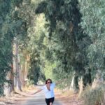 Ebru Cündübeyoğlu Instagram - Ben onuru ağaçlardan öğrendim Kudretli yeşille güneşi gölgelerken Elini eteğini çekiverince yaz Hazanda mağrur olmayı… #Aşılıkolum