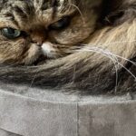 Ebru Cündübeyoğlu Instagram - Şanslı 🖤, Çok değişti be buralar Öyle çok olmuyor artık baharlar