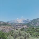 Ece Çeşmioğlu Instagram –