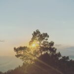 Ece Çeşmioğlu Instagram -