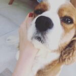 Ece Çeşmioğlu Instagram -