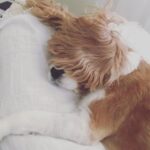 Ece Çeşmioğlu Instagram –