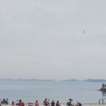 Ece Çeşmioğlu Instagram -