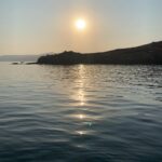 Ece Çeşmioğlu Instagram -