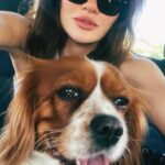 Ece İrtem Instagram - hatlarımız keskin, notalarımız tekrar hesaplanıyor