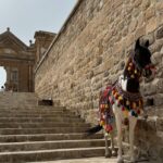 Ece Sükan Instagram - Mardin Mezopotamya #mardin