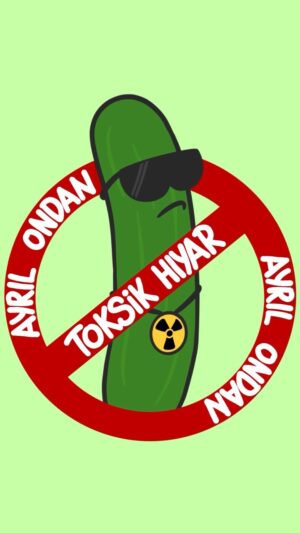 Ecem Akbin Instagram - 🚫 toksik hıyarlar 🔪🥒