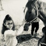 Eda Özerkan Instagram – Torun geldi,küçüğüm doğdu!🐴❤️🧿

#edaözerkan #edaozerkan #instagram #instagood #instalike #instadaily #insta #instadaily #instamood #instafashion #instalove #insta #in #instalove #instacool #instaphoto #instatravel #instareels #instastyle #instamoda #instadesign #instahorse #instablogger #instabook #instabeauty #instalikes 

Bundan daha iyi nasıl olur?🍀
