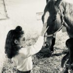 Eda Özerkan Instagram – Torun geldi,küçüğüm doğdu!🐴❤️🧿

#edaözerkan #edaozerkan #instagram #instagood #instalike #instadaily #insta #instadaily #instamood #instafashion #instalove #insta #in #instalove #instacool #instaphoto #instatravel #instareels #instastyle #instamoda #instadesign #instahorse #instablogger #instabook #instabeauty #instalikes 

Bundan daha iyi nasıl olur?🍀