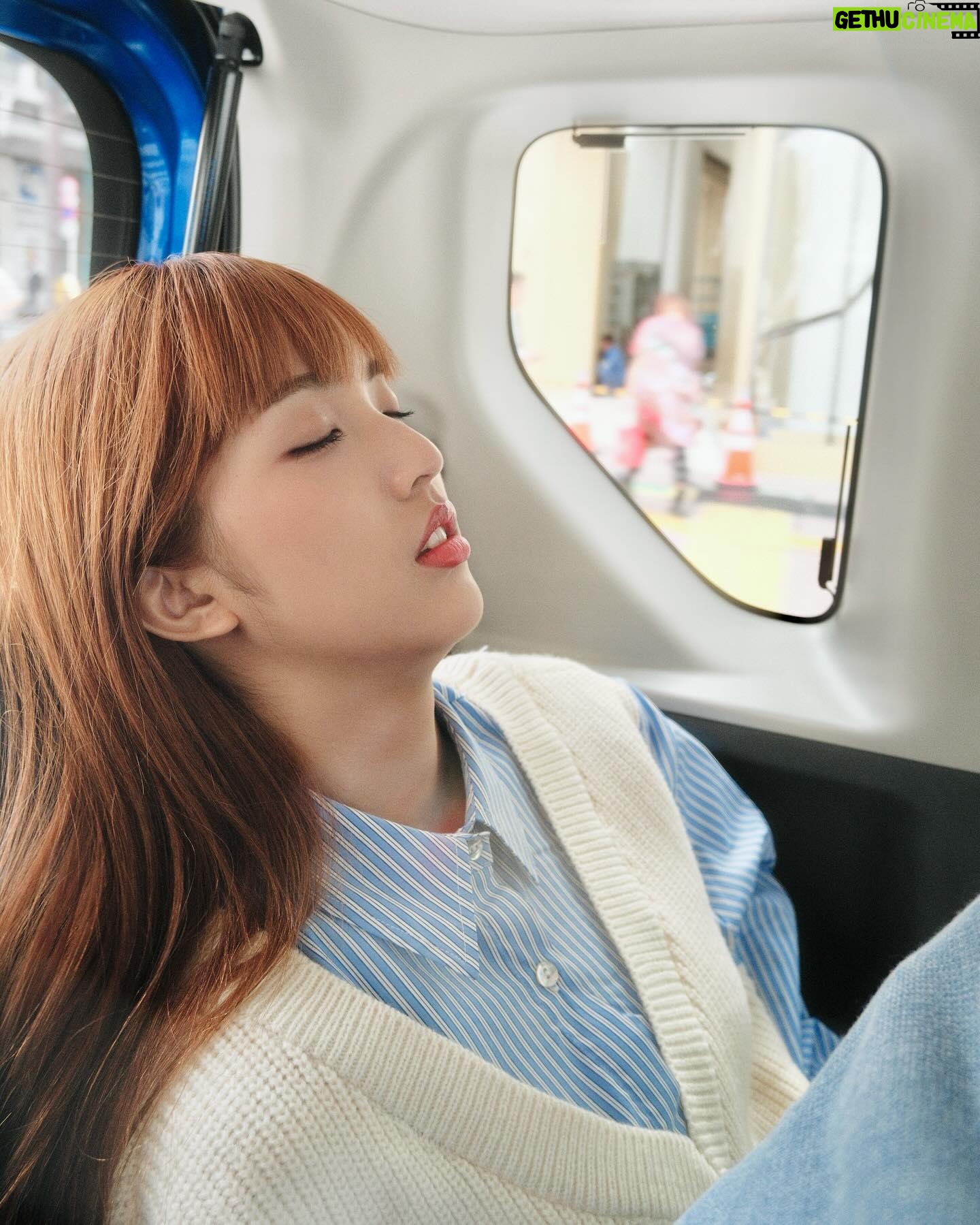 Eelyn Chan - 3 Likes - 💤💤💤
Photo credit: a rare awake @angusngg