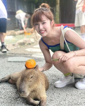 Eelyn Chan Instagram - 🍊好掛住水豚君同暴走羊s🥲