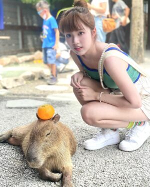 Eelyn Chan Instagram - 🍊好掛住水豚君同暴走羊s🥲