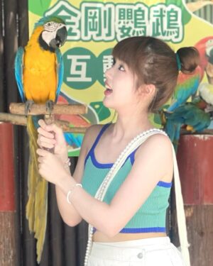Eelyn Chan Instagram - 🍊好掛住水豚君同暴走羊s🥲
